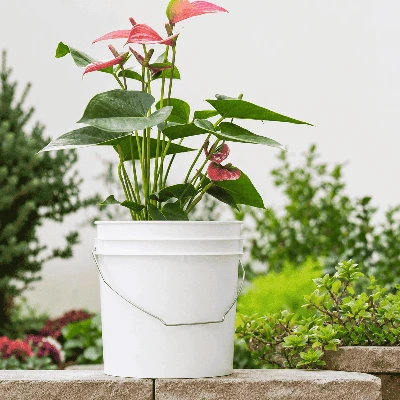 Grow Herbs And Flowers Grow Herbs And Flowers